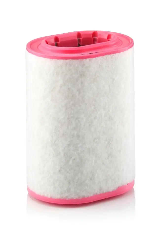 C18161 - : Air Filter for MANN-FILTER Image
