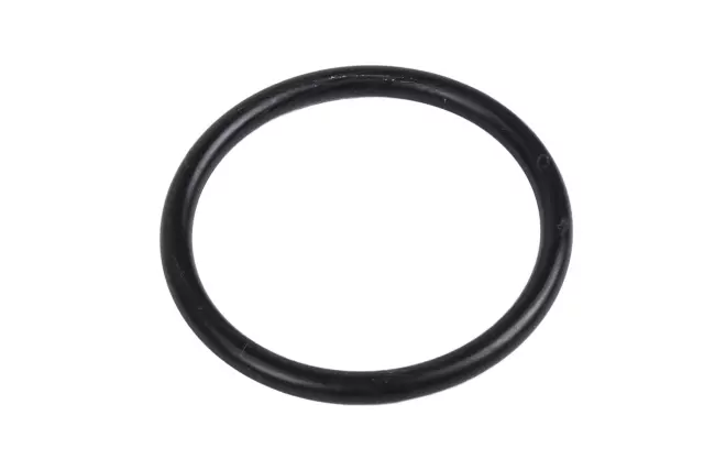 12650512 - Cooling System: Inlet Pipe Gasket for Chevrolet: Colorado, Express 2500, Express 3500 | GMC: Canyon, Savana 2500, Savana 3500 Image
