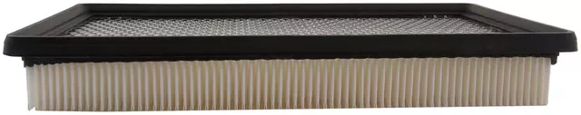 Air Filter - GM (25161977)