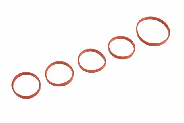 55579126 - Fuel System: Manifold Gasket for GM Image