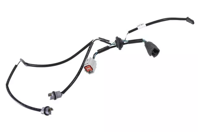 Rear License Plate Lamp Wire - GM (42344995)