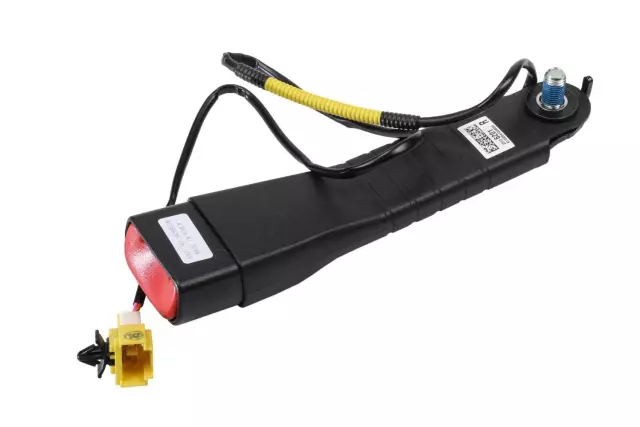 Buckle - GM (19258578)