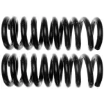 81010 - : Front Coil Spring Set for Moog Image