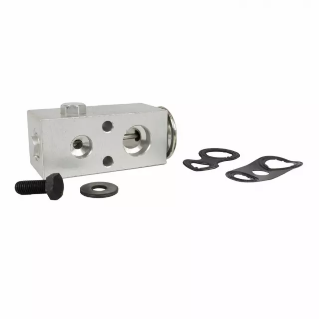 Valve Assembly Evaporator Expansion - Ford (QYG-1)
