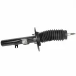 AST369 - : Shock Absorber Assembly Front for Ford: Taurus | Mercury: Sable Image