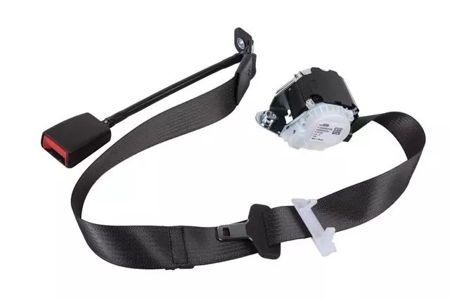 19331654 - Electrical: Center Seat Belt for GM Image