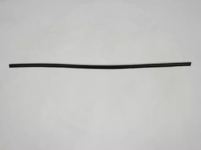 WS58RXFAE - Exterior Ornamentation: Roof Molding, Right for Mopar Image image