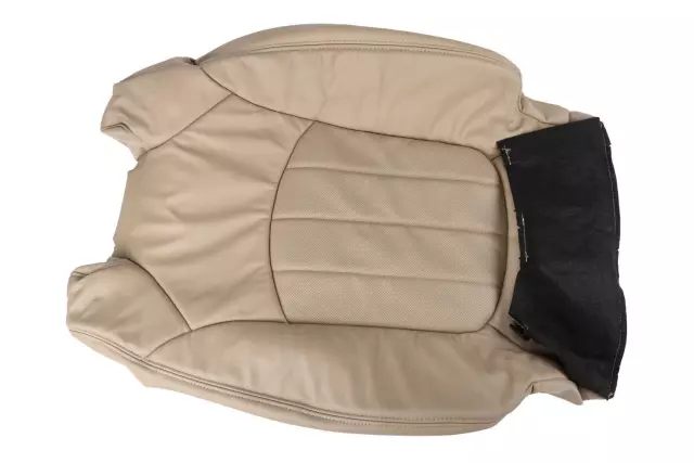 20864296 - Body: Seat Back Cover for Buick: Enclave | GMC: Acadia Image