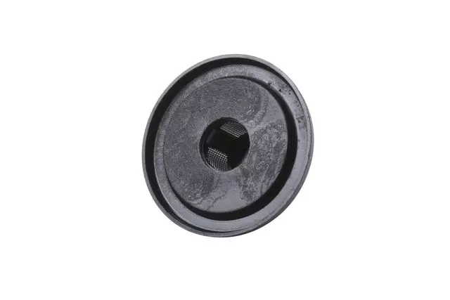 Engine Valve Lifter Oil Filter - GM (12579917)