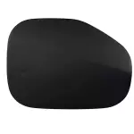 LJ8Z58405A26B - : Door Panel for Ford: Mustang Mach-E Image