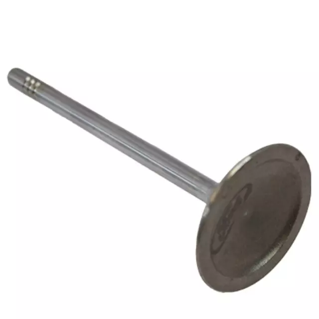 Intake Valve - Ford (2L2Z-6507-AA)