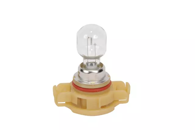 15839897 - Electrical: Fog Lamp Bulb for GM Image