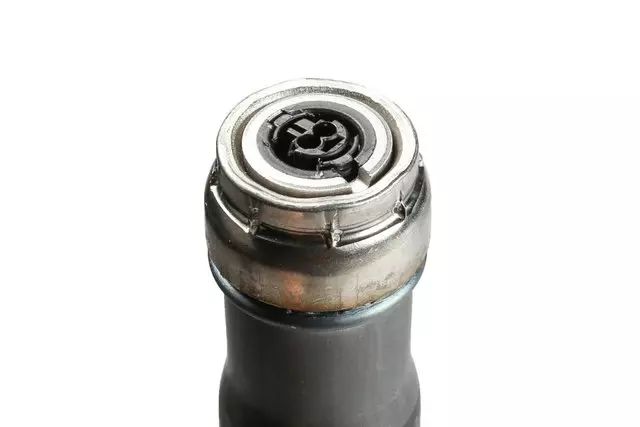 22819774 - Electrical: Curtain Air Bag for GM Image