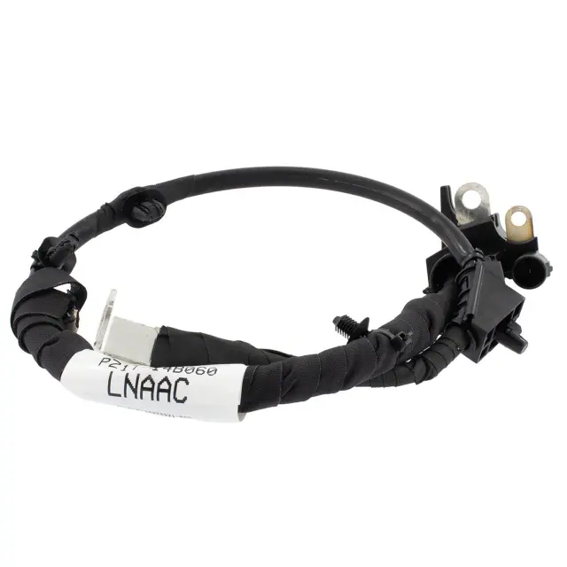 Cable Assembly Battery To Battery - Ford (PZ1Z-14300-P)