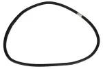 25956347 - Body: Surround Weather-strip for GM Image