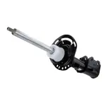 ASH8666319 - : Motorcraft™ Strut for Ford: Escape Image