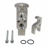 YG405 - : Motorcraft™ A/C Expansion Valve for Ford: Expedition | Lincoln: Navigator Image