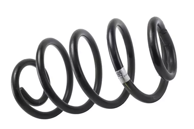 Coil Spring - ACDelco (25698883)