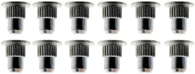 AK901169PR - : Alignment Guide Pin for Dorman Image