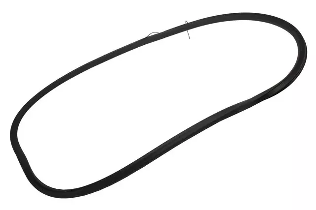 Passenger Side Door Weatherstrip - GM (25997406)