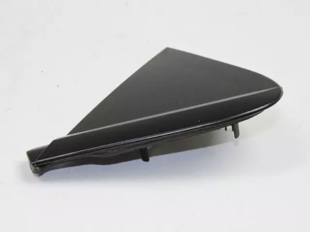 Rear Door Applique, Left - Mopar (4806151AE)