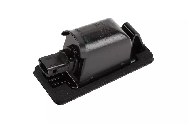 Rear License Plate Lamp - GM (13590043)