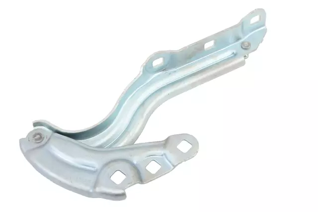 Hinge - GM (39151149)