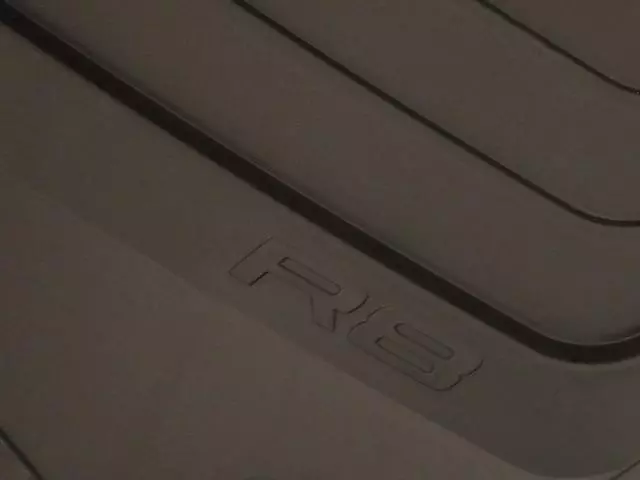 All-Weather Floor Mats - Front - Audi (4S1-061-221-041)