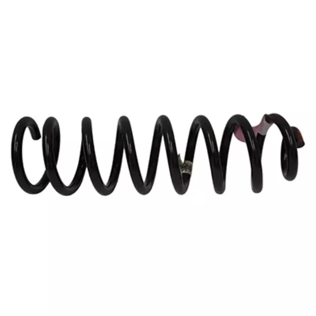 Coil Spring - Ford (5C3Z-5310-L)