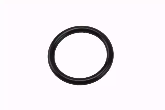 12644073 - : Positive Crankcase Ventilation (PCV) Hose Fitting Seal for GM Image