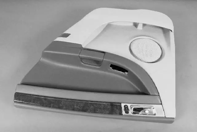 Rear Door Trim Panel, Right - Mopar (1BF161D1AB)