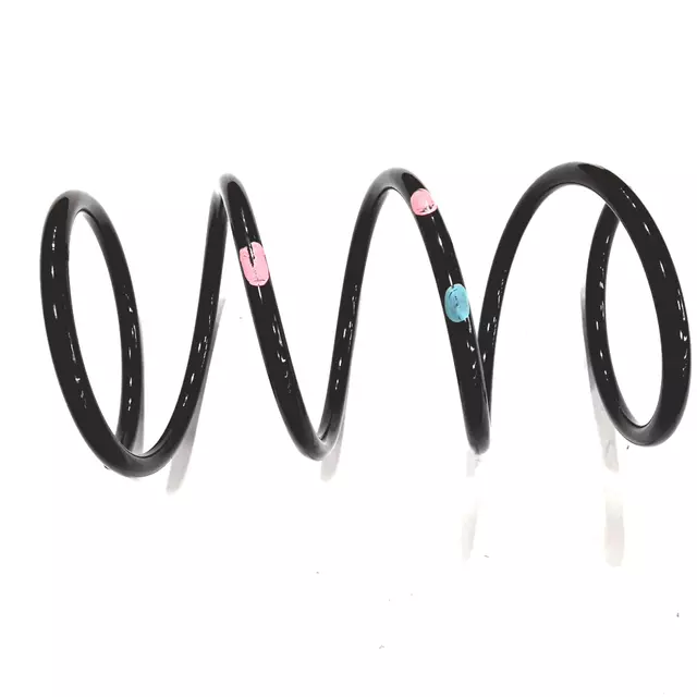 20330AC330 - : 1996-1999 Subaru Legacy - Coil Spring for Subaru: Legacy Image