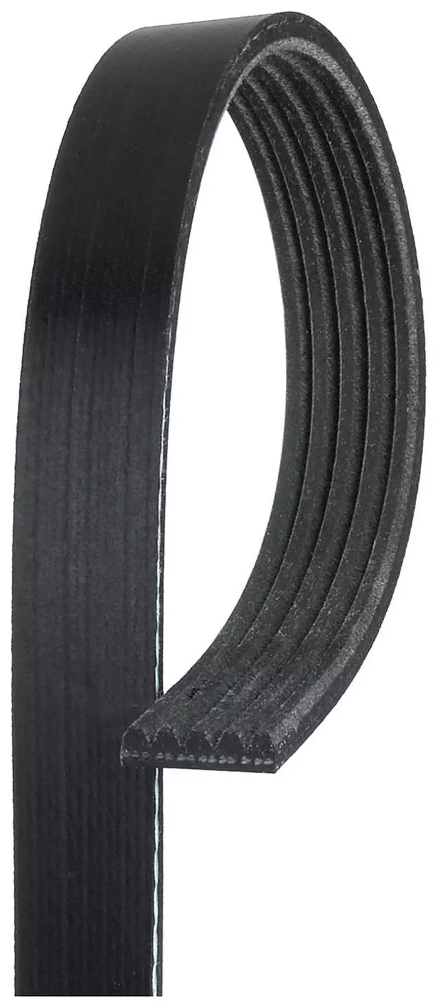 Standard V-Ribbed Serpentine Belt - ACDelco (5K365)