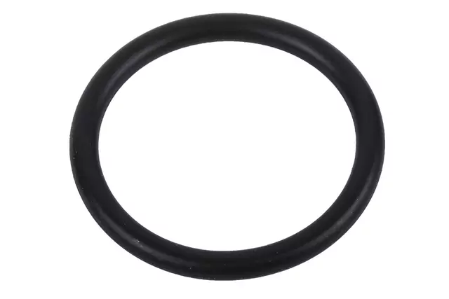 55592613 - : 2016-2019 Chevrolet Malibu - Water Inlet Seal for Chevrolet: Malibu Image