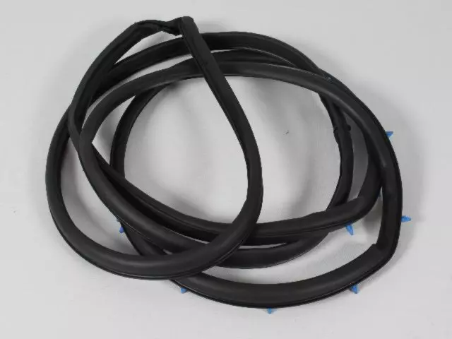 4717720AA - : Front Door Weatherstrip, Right for Chrysler: Town &amp; Country, Voyager | Dodge: Caravan, Grand Caravan Image