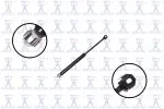 84417 - : Hood Lift Support for Focus Auto Parts Image