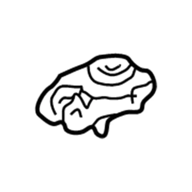 F81Z5A307BA - Suspension: Spring Seat for Ford: F-250, F-250 Super Duty, F-350 Super Duty, F-450 Super Duty, F-550 Super Duty Image