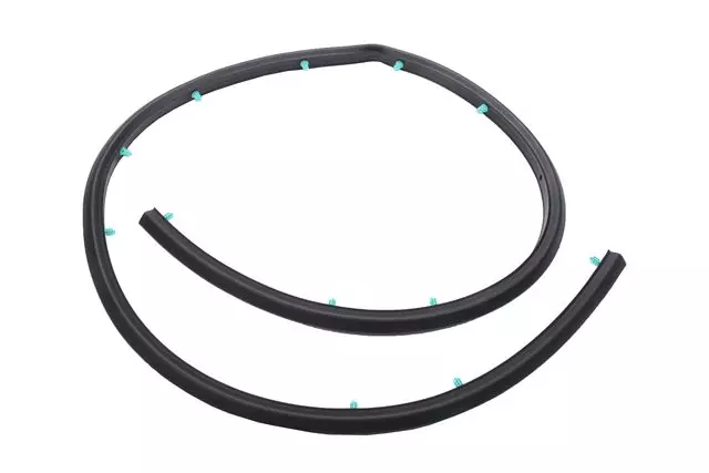 Hood Front Weatherstrip - GM (26233816)