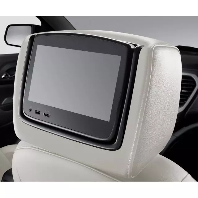 Headrest and Video Screen Assembly - GM (84690233)