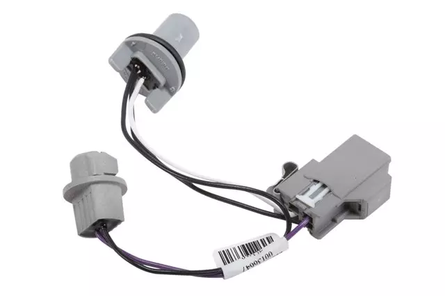 Back-up Lamp Wiring Harness - GM (23338661)