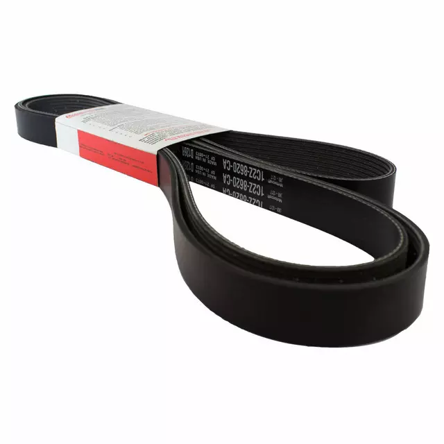 Serpentine Belt - Ford (1C2Z-8620-CA)