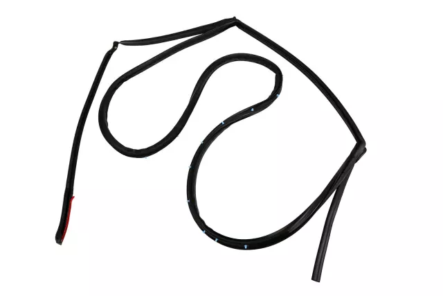 20929650 - Body: Door Weather-strip for Buick: Enclave Image