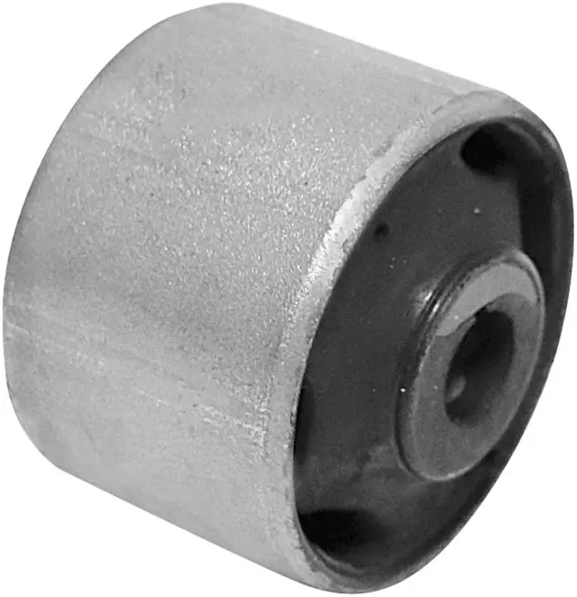 TD1983W - : Suspension Trailing Arm Bushing for DELPHI Image