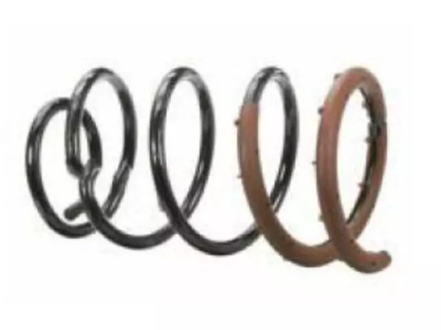 BT4Z5560N - Suspension: Coil Spring for Ford Image
