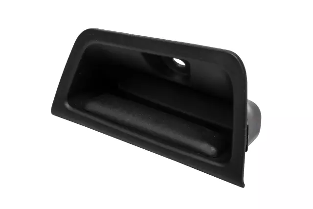 15952900 - Body: Pull Handle for Cadillac: Escalade, Escalade ESV | Chevrolet: Suburban 1500, Suburban 2500, Tahoe | GMC: Yukon, Yukon XL 1500, Yukon XL 2500 Image