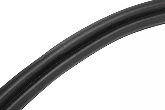 Liftgate Weatherstrip - GM (84530316)
