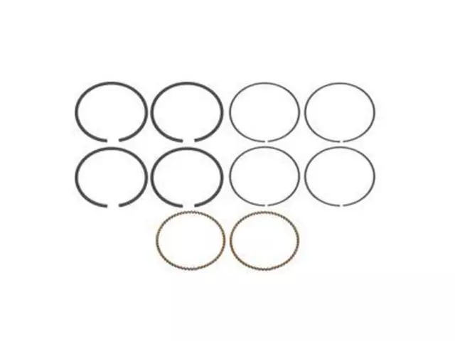 Piston Rings - Ford (6L3Z-6148-A)