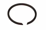 84930198 - : F (S)Ring for GM Image