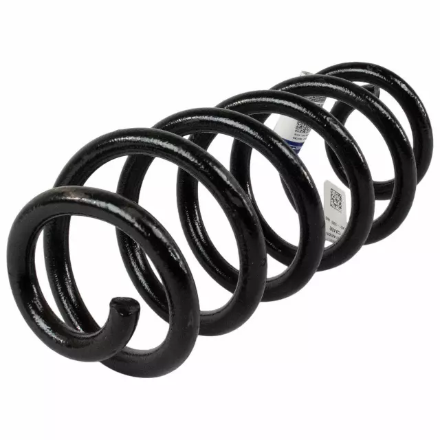 Coil Spring - Ford (LX6Z-5560-EH)