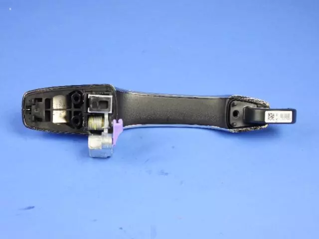 4589722AF - Body: Handle, Outside for Chrysler: Town &amp; Country | Dodge: Grand Caravan | Ram: C/V Image